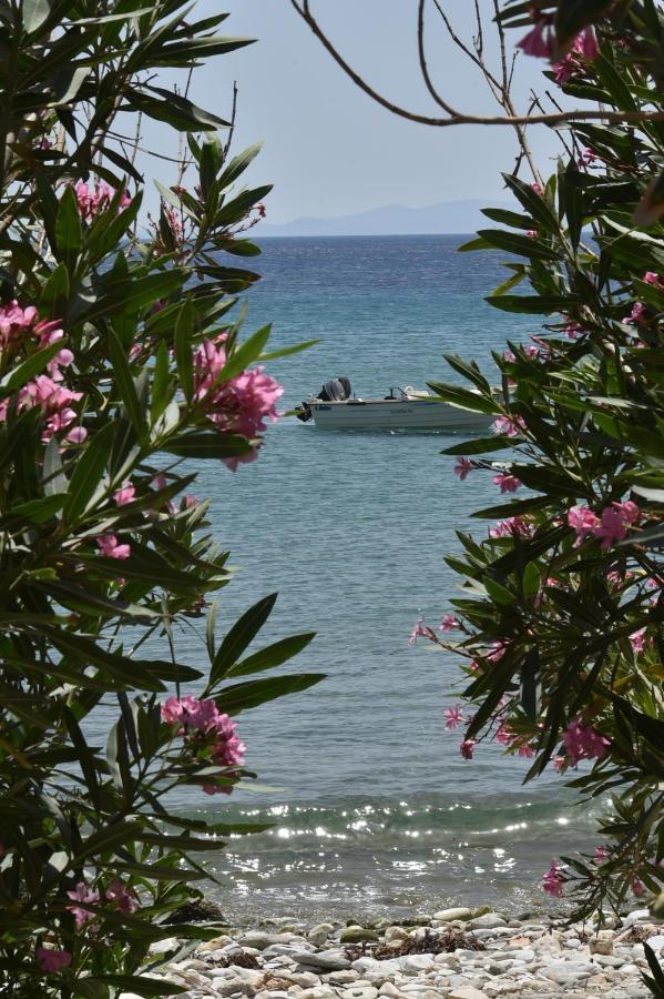 Seaside Home In Kardiani/Giannaki Bay - Agnes'S Home Esterno foto